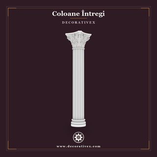 Coloane Întregi